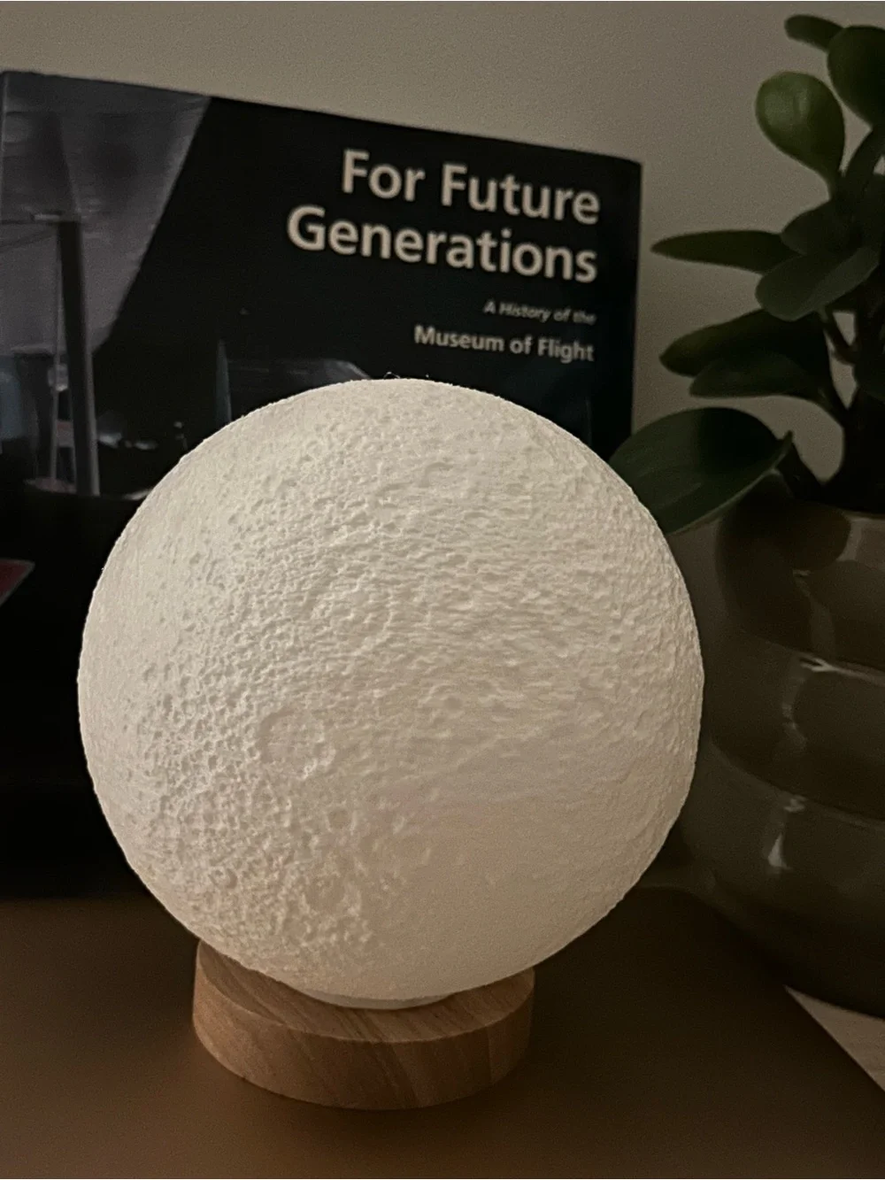 3D Printed Moon Lamp with Wooden LED Stand Lantern